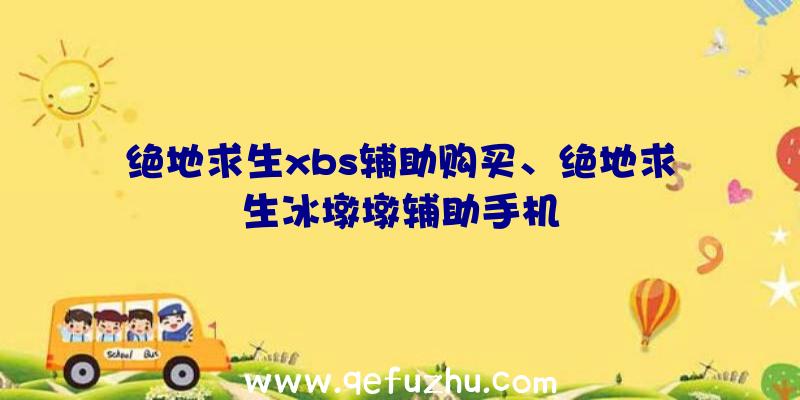 绝地求生xbs辅助购买、绝地求生冰墩墩辅助手机