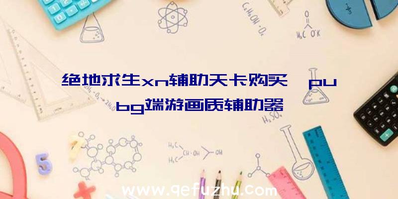 绝地求生xn辅助天卡购买、pubg端游画质辅助器