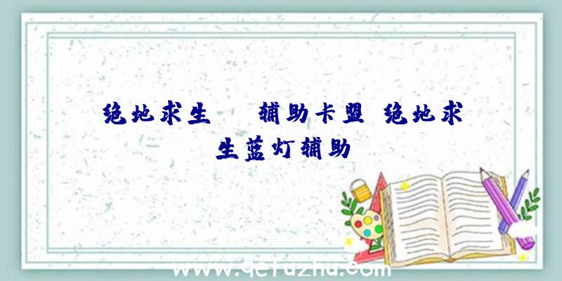 绝地求生xyz辅助卡盟、绝地求生蓝灯辅助