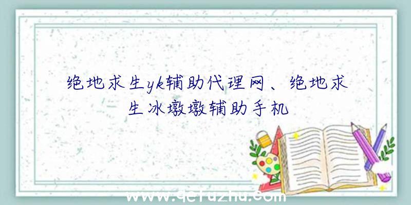 绝地求生yk辅助代理网、绝地求生冰墩墩辅助手机