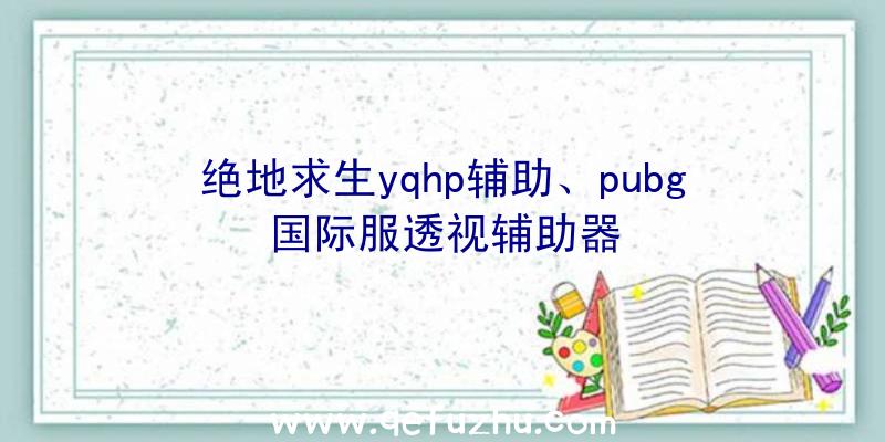 绝地求生yqhp辅助、pubg国际服透视辅助器