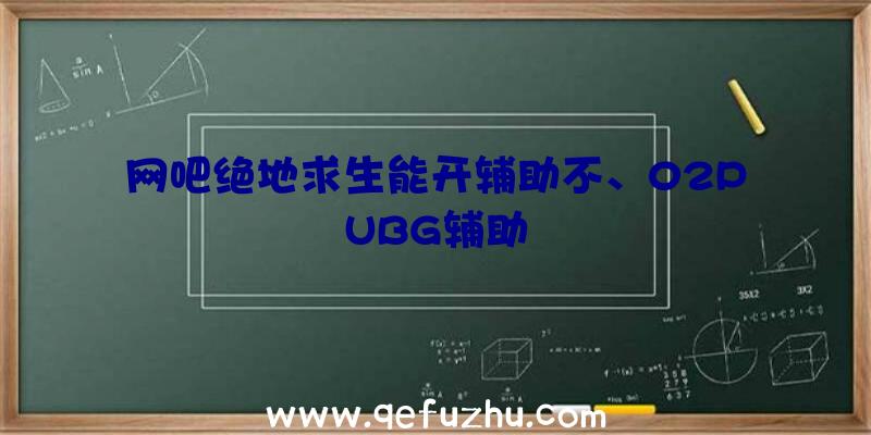 网吧绝地求生能开辅助不、02PUBG辅助