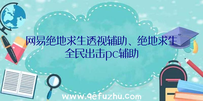 网易绝地求生透视辅助、绝地求生全民出击pc辅助