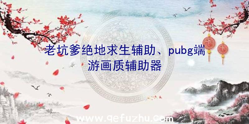 老坑爹绝地求生辅助、pubg端游画质辅助器