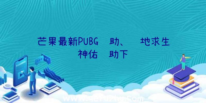 芒果最新PUBG辅助、绝地求生神佑辅助下载