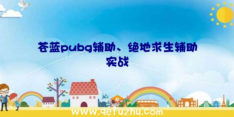 苍蓝pubg辅助、绝地求生辅助实战