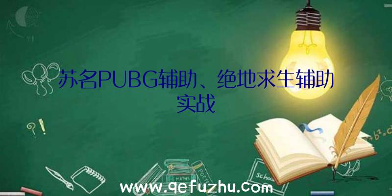 苏名PUBG辅助、绝地求生辅助实战