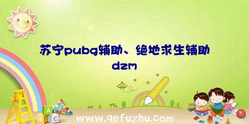 苏宁pubg辅助、绝地求生辅助dzm