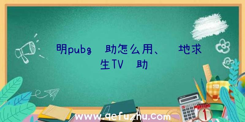 苏明pubg辅助怎么用、绝地求生TV辅助