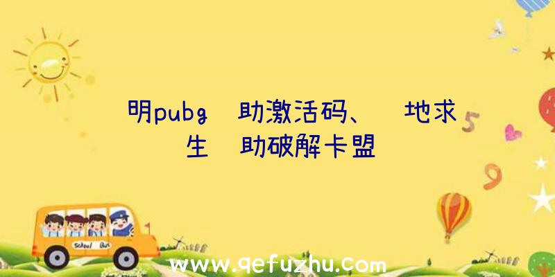 苏明pubg辅助激活码、绝地求生辅助破解卡盟