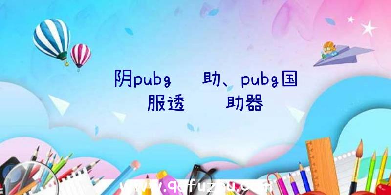 苏阴pubg