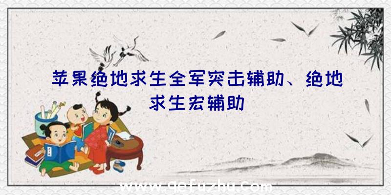 苹果绝地求生全军突击辅助、绝地求生宏辅助