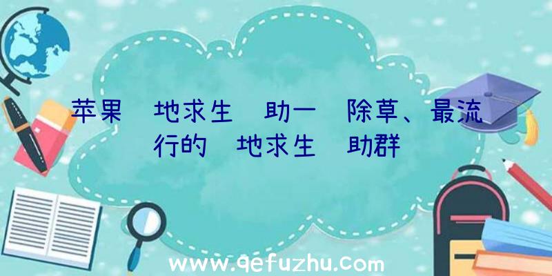 苹果绝地求生辅助一键除草、最流行的绝地求生辅助群