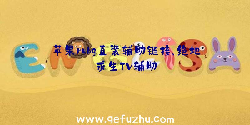 苹果pubg直装辅助链接、绝地求生TV辅助