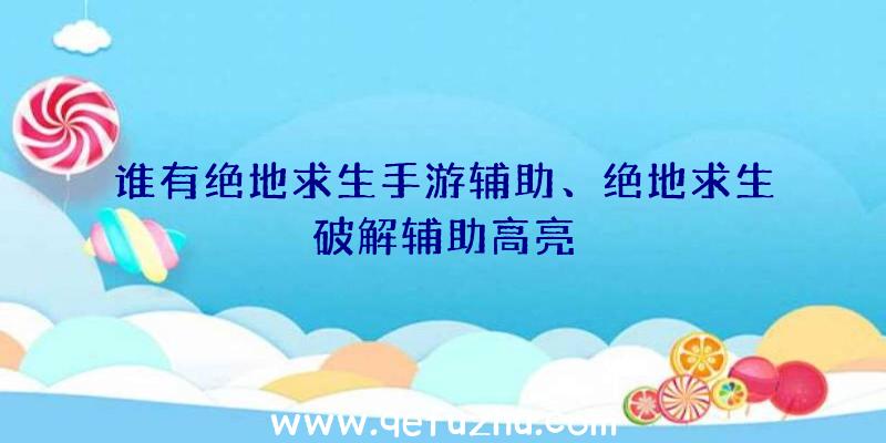 谁有绝地求生手游辅助、绝地求生破解辅助高亮