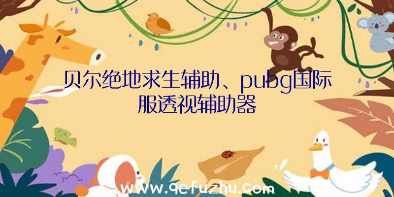 贝尔绝地求生辅助、pubg国际服透视辅助器