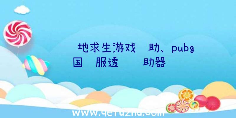 轩辕绝地求生游戏辅助、pubg国际服透视辅助器