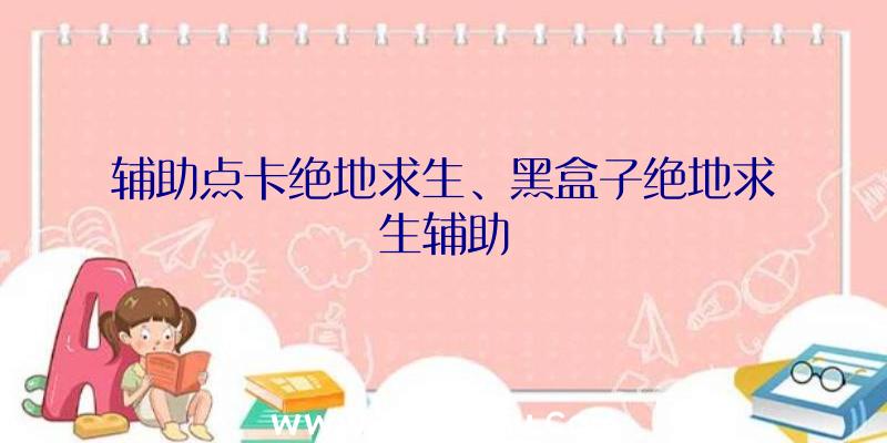 辅助点卡绝地求生、黑盒子绝地求生辅助