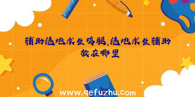 辅助绝地求生鸡腿、绝地求生辅助