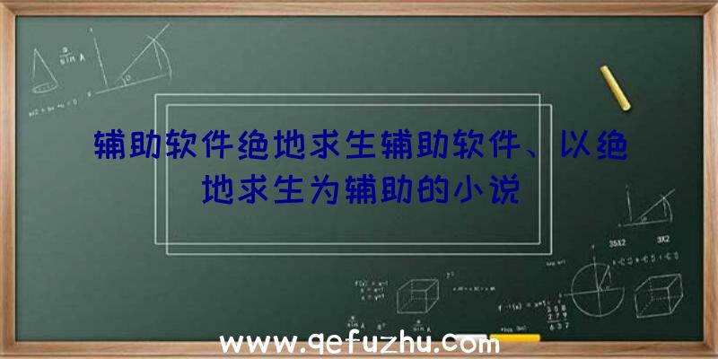 辅助软件绝地求生辅助软件、以绝地求生为辅助的小说