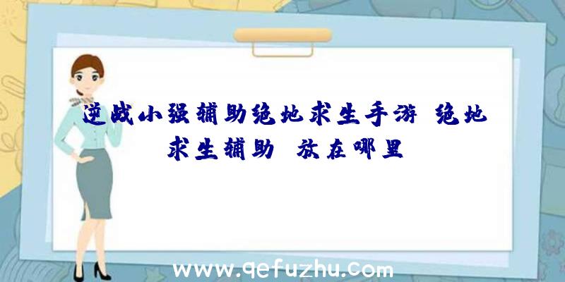 逆战小强辅助绝地求生手游、绝地求生辅助