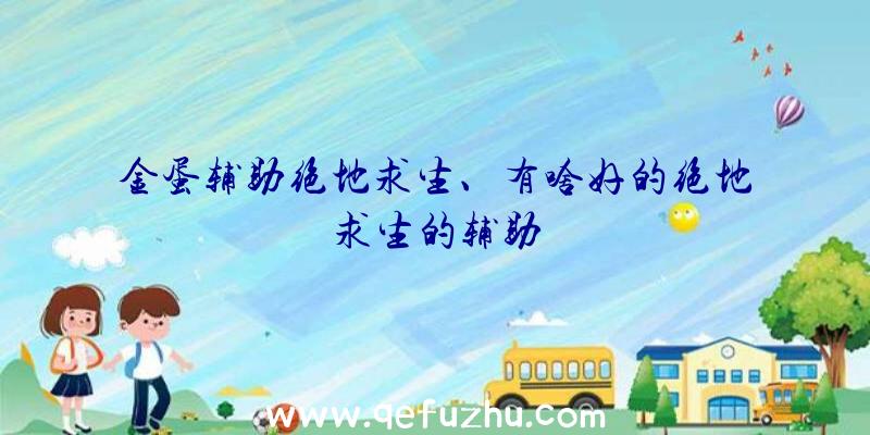 金蛋辅助绝地求生、有啥好的绝地求生的辅助