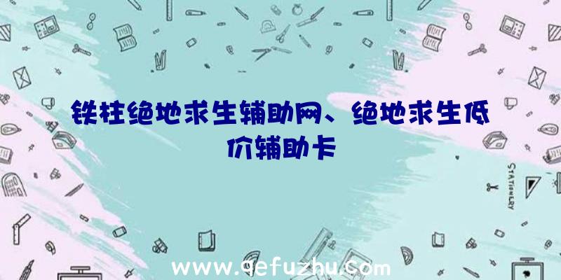 铁柱绝地求生辅助网、绝地求生低价辅助卡