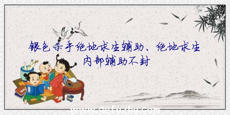 银色杀手绝地求生辅助、绝地求生内部辅助不封