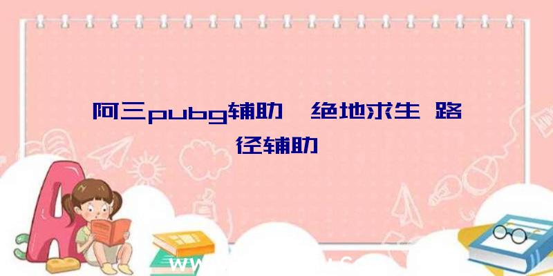 阿三pubg辅助、绝地求生