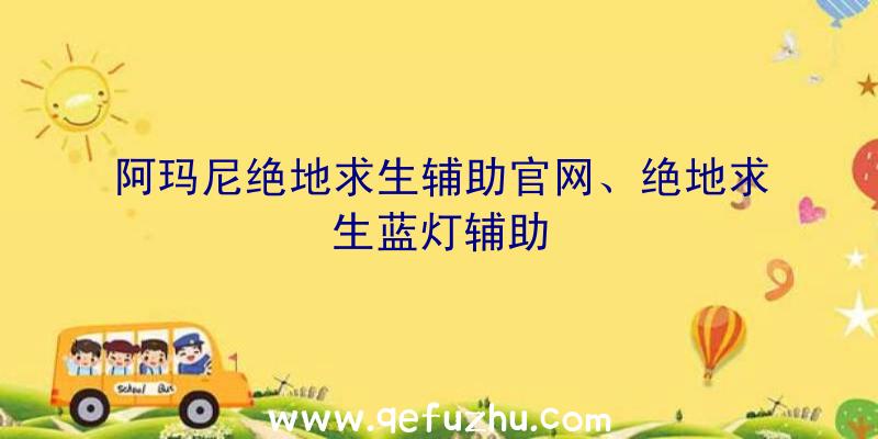 阿玛尼绝地求生辅助官网、绝地求生蓝灯辅助