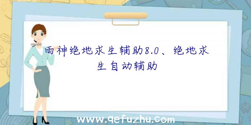 雨神绝地求生辅助8.0、绝地求生自动辅助