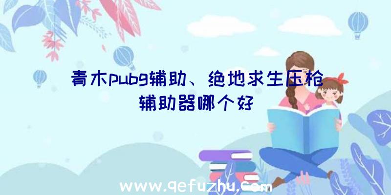 青木pubg辅助、绝地求生压枪辅助器哪个好