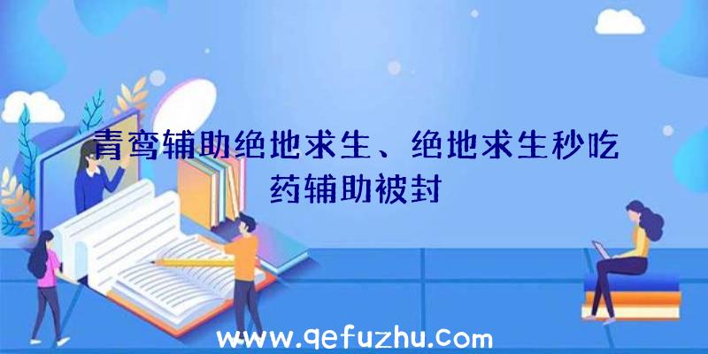 青鸾辅助绝地求生、绝地求生秒吃药辅助被封