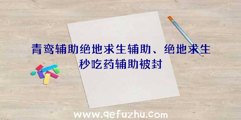 青鸾辅助绝地求生辅助、绝地求生秒吃药辅助被封