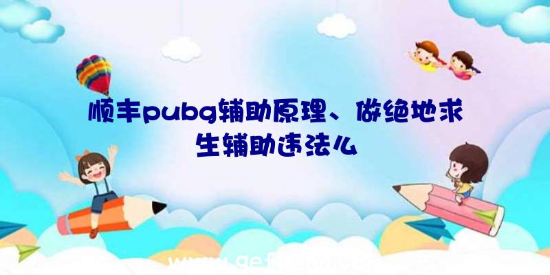 顺丰pubg辅助原理、做绝地求生辅助违法么