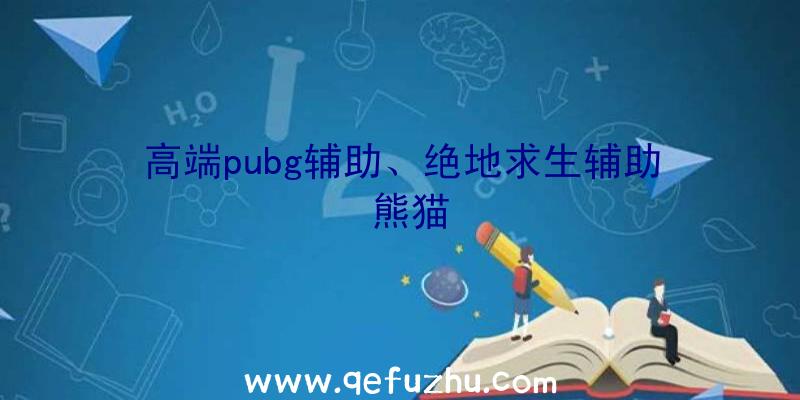 高端pubg辅助、绝地求生辅助