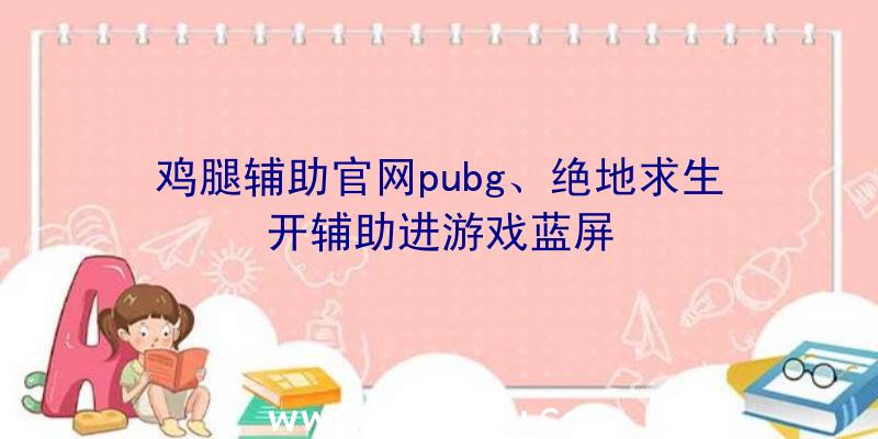 鸡腿辅助官网pubg、绝地求生开辅助进游戏蓝屏