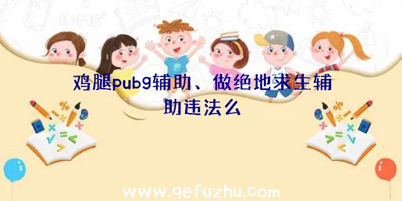 鸡腿pubg辅助、做绝地求生辅助违法么