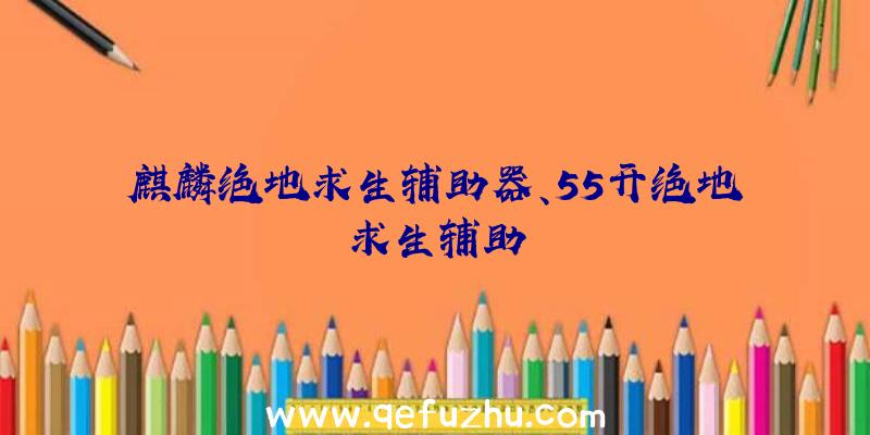 麒麟绝地求生辅助器、55开绝地求生辅助