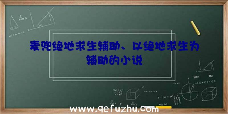 麦兜绝地求生辅助、以绝地求生为辅助的小说