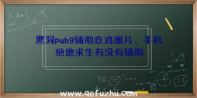 黑洞pubg辅助吃鸡图片、手机绝地求生有没有辅助