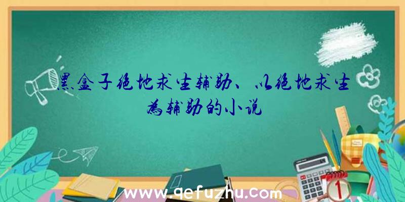 黑盒子绝地求生辅助、以绝地求生为辅助的小说