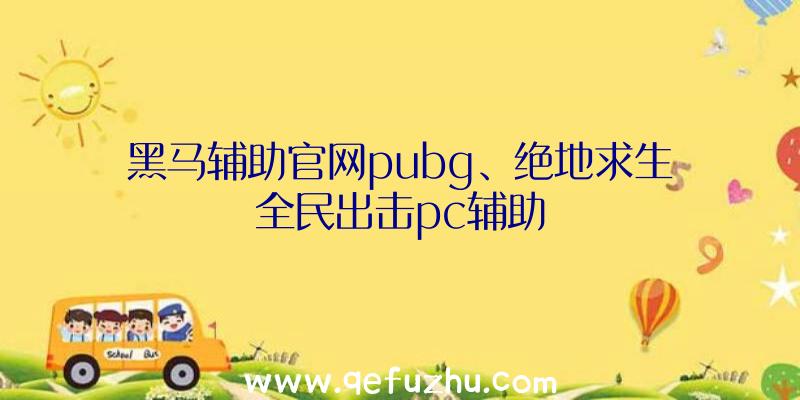 黑马辅助官网pubg、绝地求生全民出击pc辅助