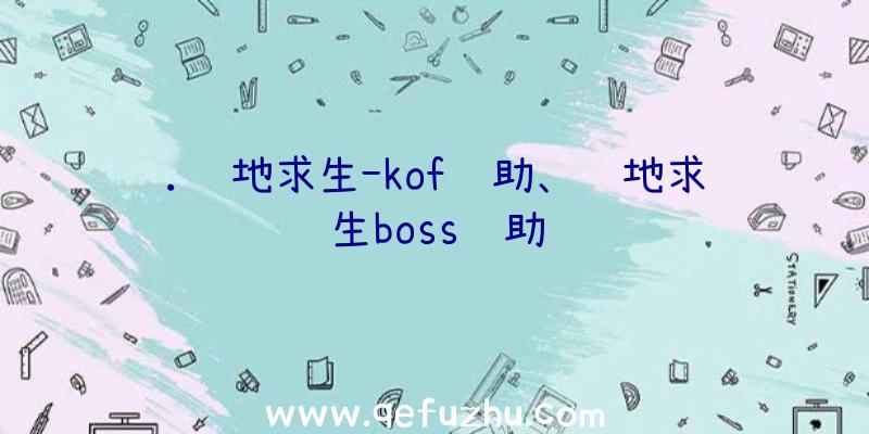 .绝地求生-kof辅助、绝地求生boss辅助