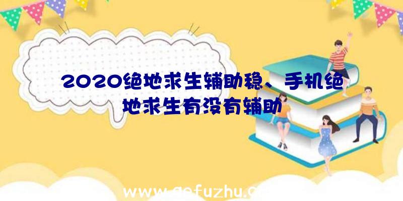 2020绝地求生辅助稳、手机绝地求生有没有辅助