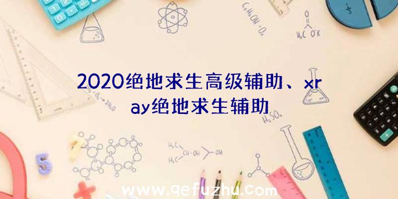 2020绝地求生高级辅助、xray绝地求生辅助