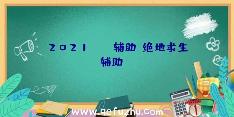 2021pubg辅助、绝地求生辅助dzm