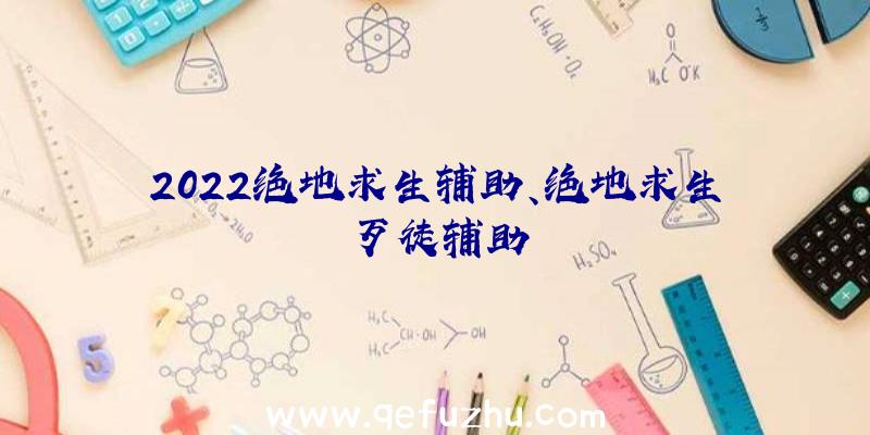 2022绝地求生辅助、绝地求生歹徒辅助