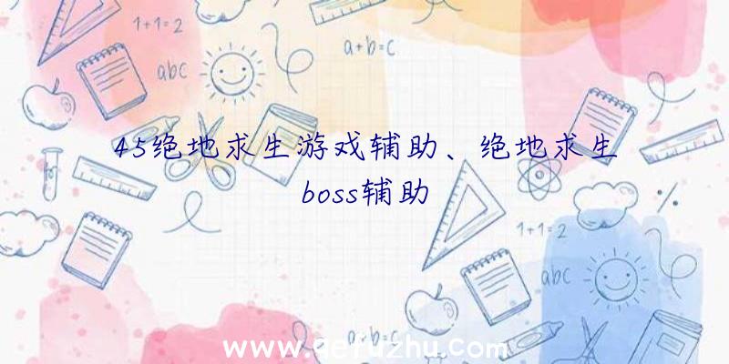 45绝地求生游戏辅助、绝地求生boss辅助