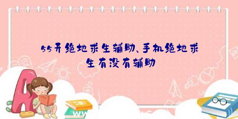 55开绝地求生辅助、手机绝地求生有没有辅助